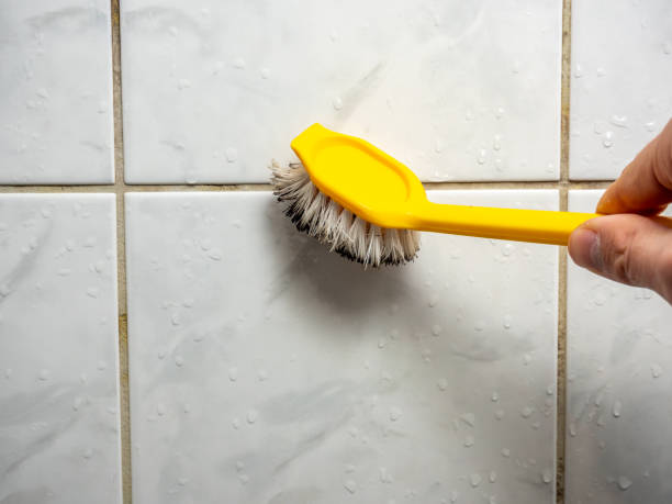 Mold Removal Process in Fort Thomas, KY
