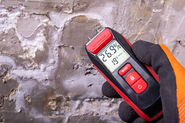 Best Professional Mold Removal  in Fort Thomas, KY