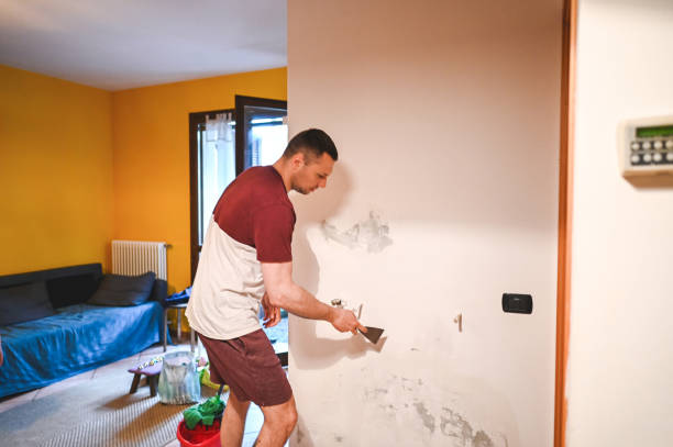 Best Mold Removal Process  in Fort Thomas, KY
